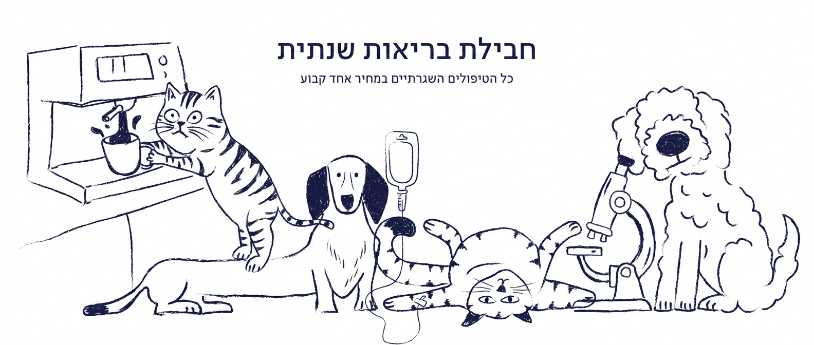 חבילת בריאות שנתית – כל הטיפולים השגרתיים במחיר אחד קבוע