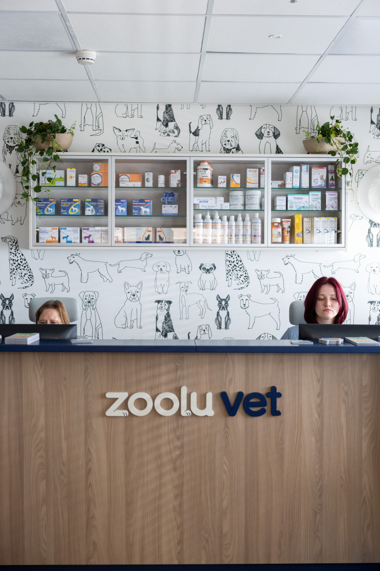 דלפק הקבלה של Zoolu Vet עם צוות ומדפי תרופות