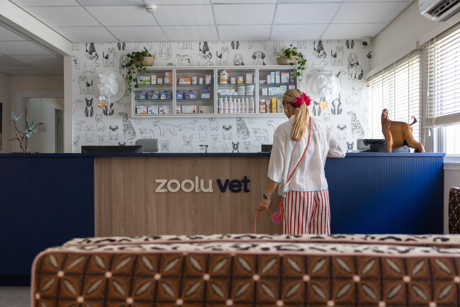 דלפק קבלה עם לוגו zoolu vet ופינת המתנה