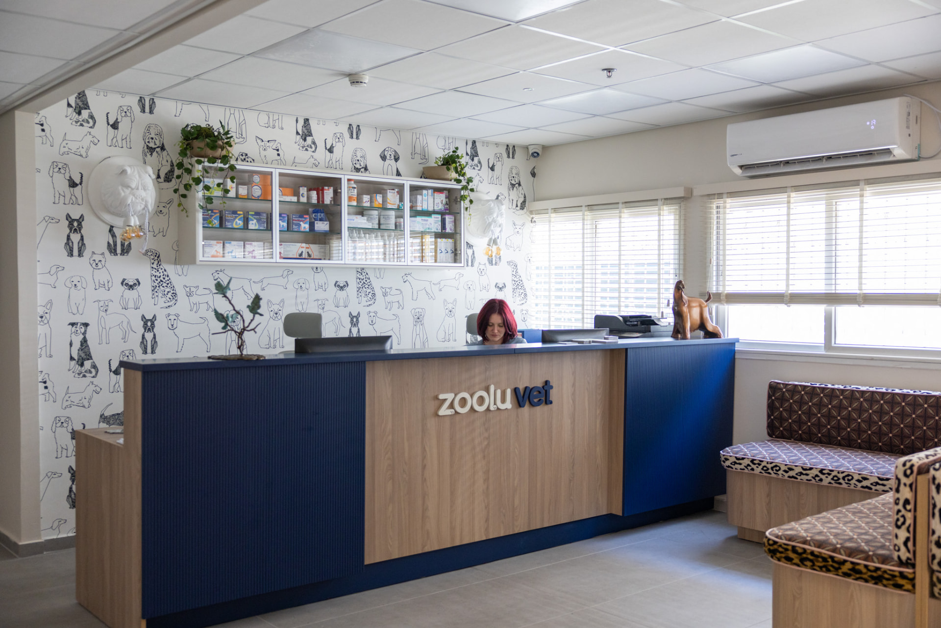 דלפק הקבלה ופינת ההמתנה במרפאת Zoolu Vet